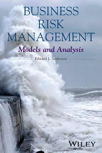 Cover image for Business Risk Management: Models and Analysis