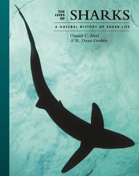 Cover image for The Lives of Sharks