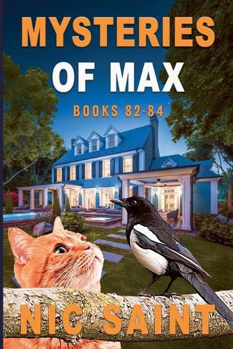 Cover image for Mysteries of Max