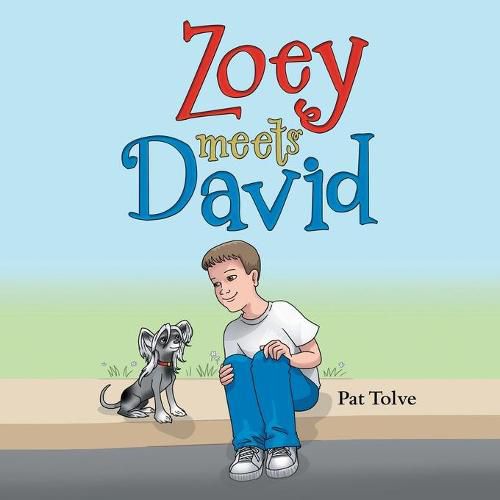 Cover image for Zoey Meets David