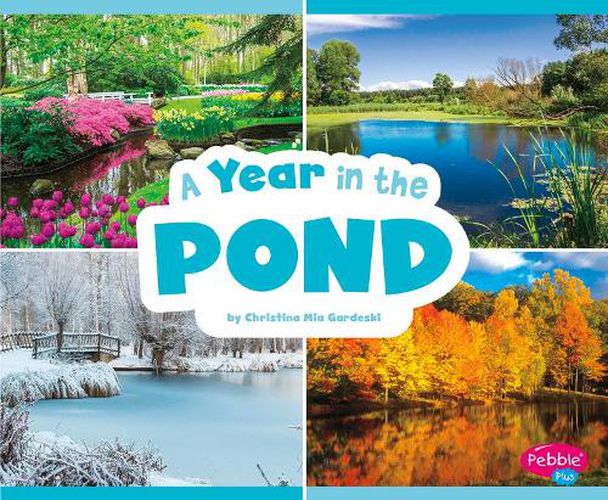 Cover image for A Year in the Pond