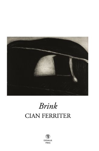Cover image for Brink