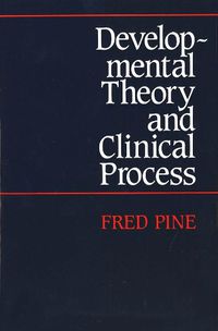 Cover image for Developmental Theory and Clinical Process