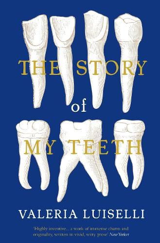 Cover image for The Story of My Teeth