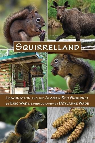 Cover image for Squirrelland