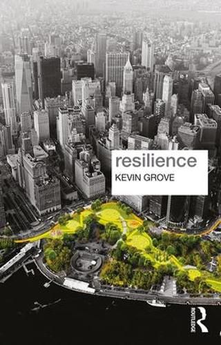 Cover image for Resilience