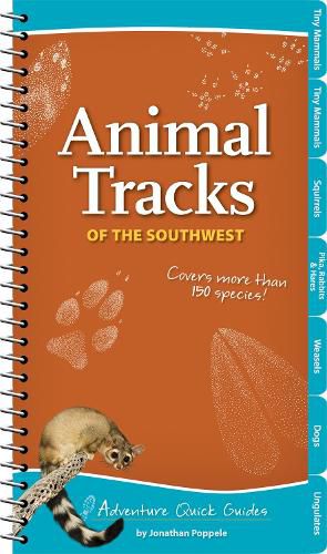 Cover image for Animal Tracks of the Southwest: Your Way to Easily Identify Animal Tracks