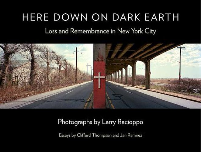 Cover image for Here Down on Dark Earth