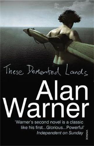 Cover image for These Demented Lands