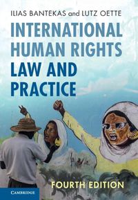 Cover image for International Human Rights Law and Practice