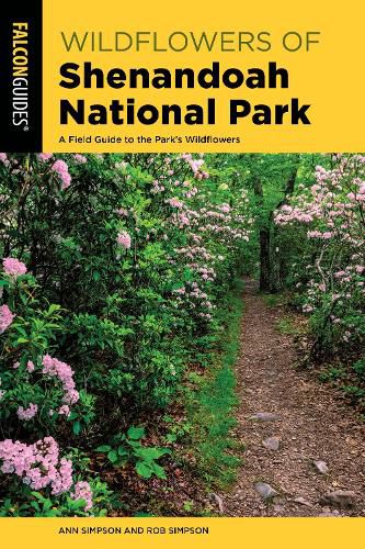 Cover image for Wildflowers of Shenandoah National Park: A Field Guide to the Park's Wildflowers
