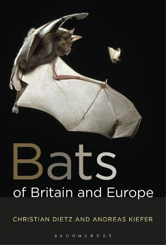 Cover image for Bats of Britain and Europe