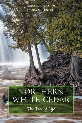 Cover image for Northern White-Cedar: The Tree of Life