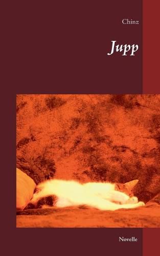 Cover image for Jupp