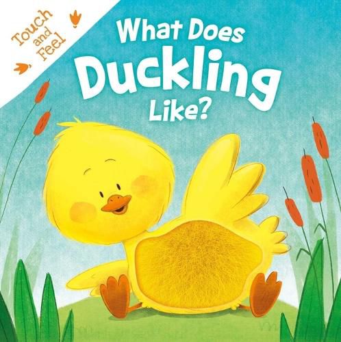Cover image for What Does Duckling Like?