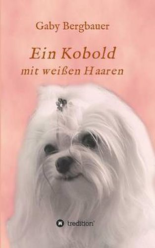 Cover image for Ein Kobold Mit Weissen Haaren