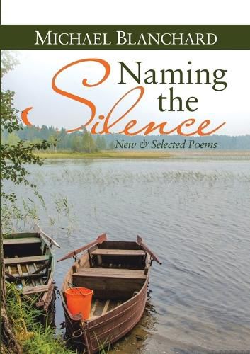 Cover image for Naming the Silence