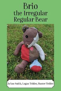 Cover image for Brio, the Irregular Regular Bear