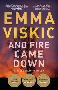 Cover image for And Fire Came Down