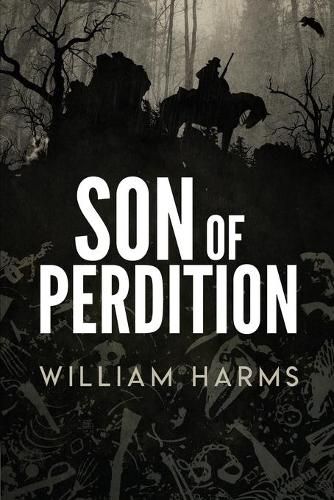 Cover image for Son of Perdition