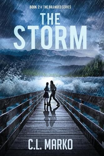 Cover image for The Storm