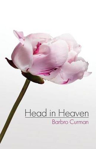 Cover image for Head in Heaven