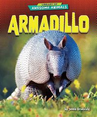 Cover image for Armadillo