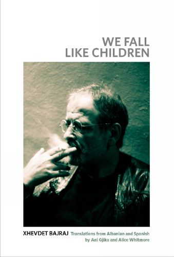 Cover image for We Fall Like Children