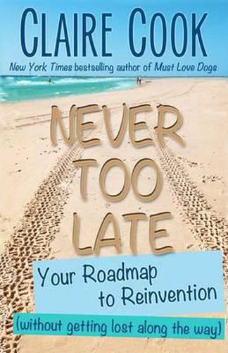 Cover image for Never Too Late: Your Roadmap to Reinvention (without getting lost along the way)