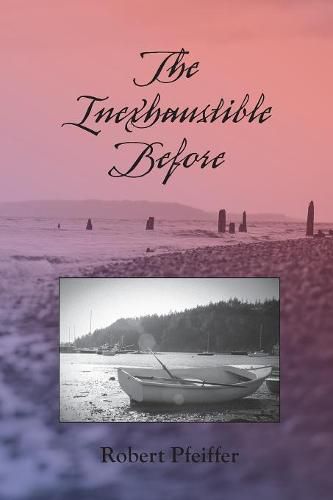 Cover image for The Inexhaustible Before