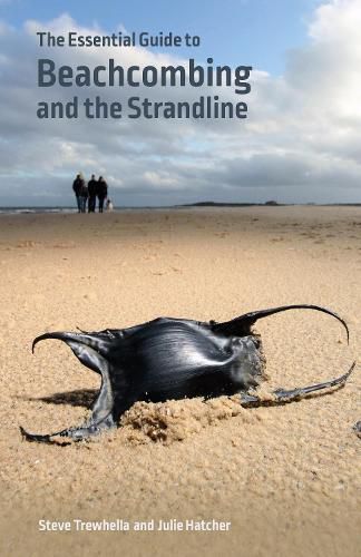 The Essential Guide to Beachcombing and the Strandline