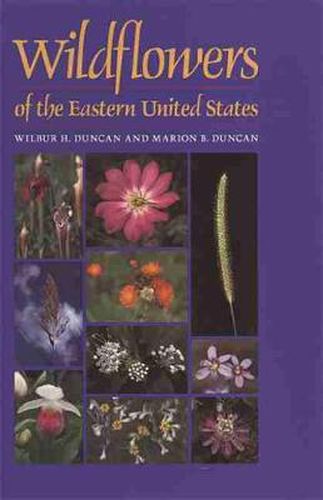 Cover image for Wildflowers of the Eastern United States