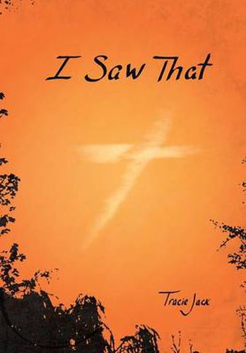 Cover image for I Saw That