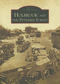 Cover image for Holbrook and the Petrified Forest
