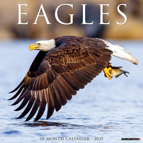 Cover image for Eagles 2026 12 X 12 Wall Calendar