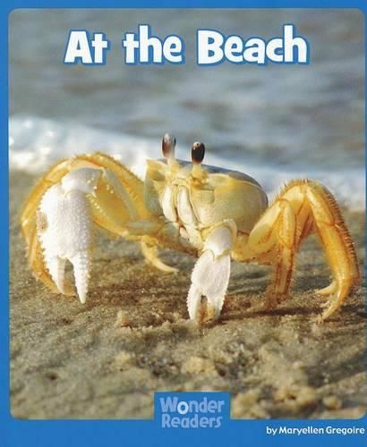 Cover image for At the Beach