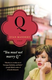 Cover image for Q: A Novel