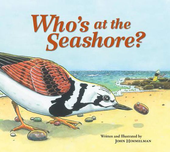 Who's at the Seashore?