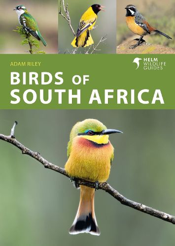 Cover image for Birds of South Africa