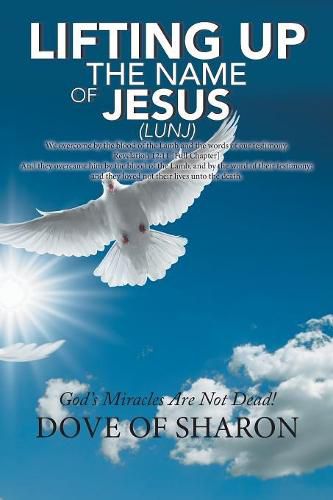 Cover image for Lifting up the Name of Jesus (Lunj): God'S Miracles Are Not Dead!