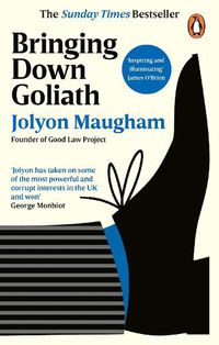 Cover image for Bringing Down Goliath