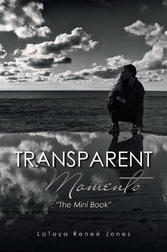 Cover image for Transparent Moments