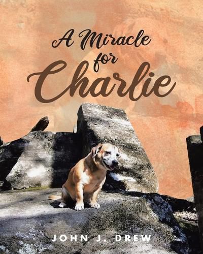 Cover image for A Miracle for Charlie