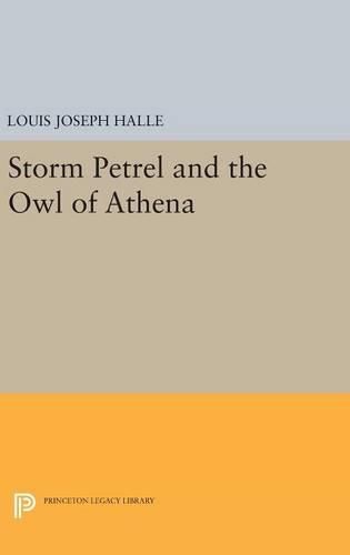 Cover image for Storm Petrel and the Owl of Athena