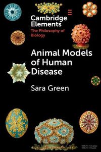 Cover image for Animal Models of Human Disease