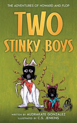 Cover image for Two Stinky Boys