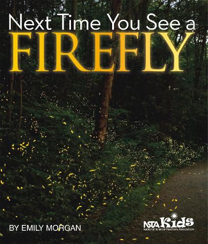 Cover image for Next Time You See a Firefly