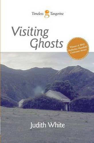 Cover image for Visiting Ghosts