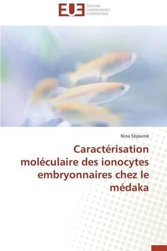 Caract risation Mol culaire Des Ionocytes Embryonnaires Chez Le M daka