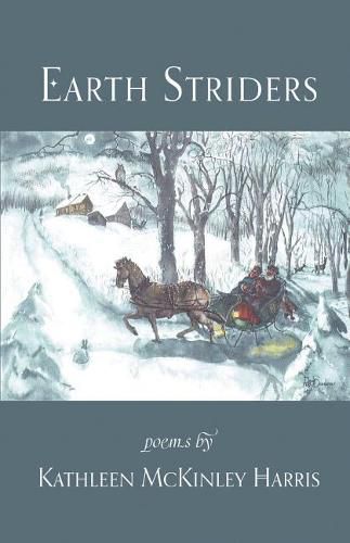 Cover image for Earth Striders